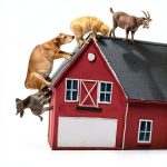 Childrens Farm Animal Book Kindle English Reading Age 2-6-0