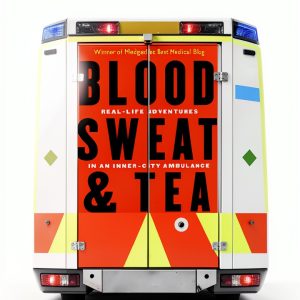 Blood Sweat and Tea Kindle eBook Emergency Medical Memoir-0