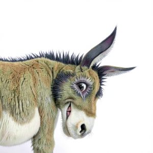 Wonky Donkey Childrens Farm Animal Book Scholastic Preschool-0