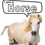 Mulberry Avenue I am Horse Animal Facts Kindle Book Kids-0