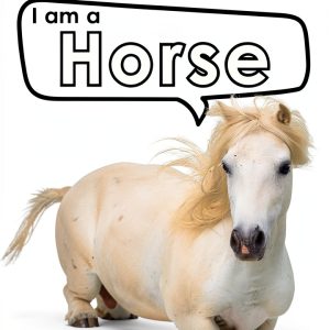 Mulberry Avenue I am Horse Animal Facts Kindle Book Kids-0